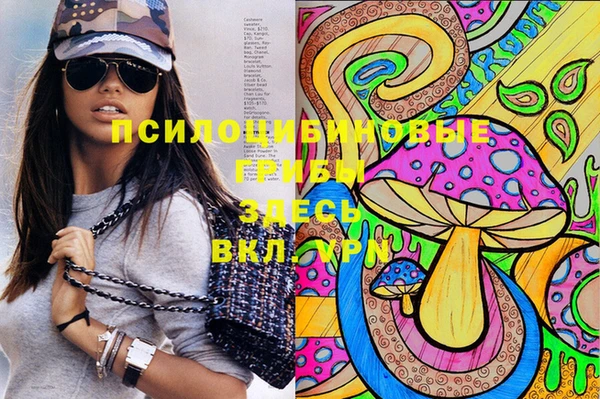 прущие крисы Абаза