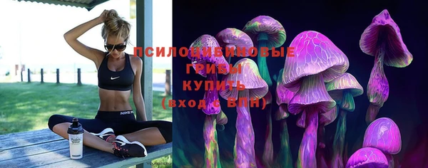 прущие крисы Абаза