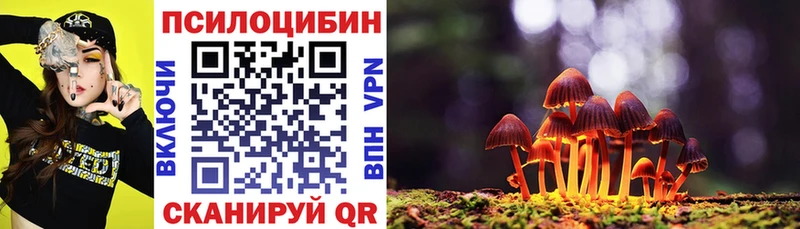 Галлюциногенные грибы Cubensis  наркотики  Княгинино 